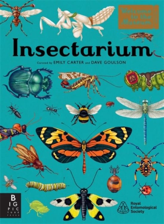 Welcome To The Museum- Insectarium by Dave Goulson