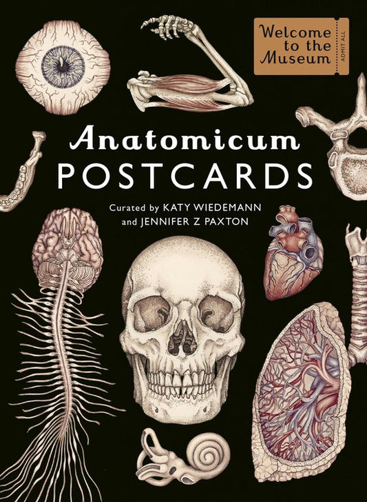Anatomicum Postcard Box by Jennifer Z Paxton