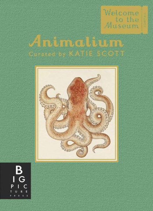 Animalium Mini Gift Edition by Katie Scott