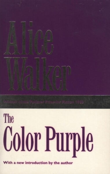 Color Purple by Alice Walker te koop op hetbookcafe.nl