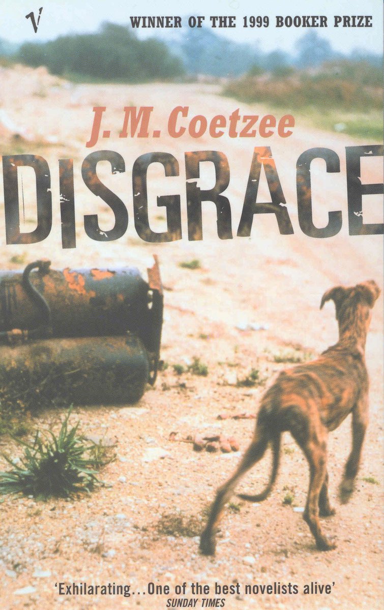 Disgrace by J.M. Coetzee te koop op hetbookcafe.nl