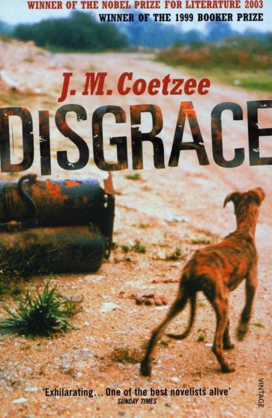 Disgrace by J.M. Coetzee te koop op hetbookcafe.nl