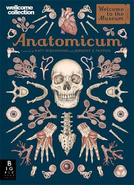 Anatomicum by Jennifer Z Paxton