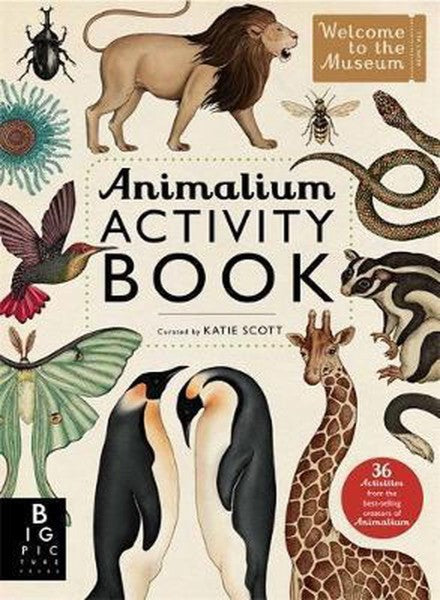 Animalium Activity Book by Katie Scott te koop op hetbookcafe.nl