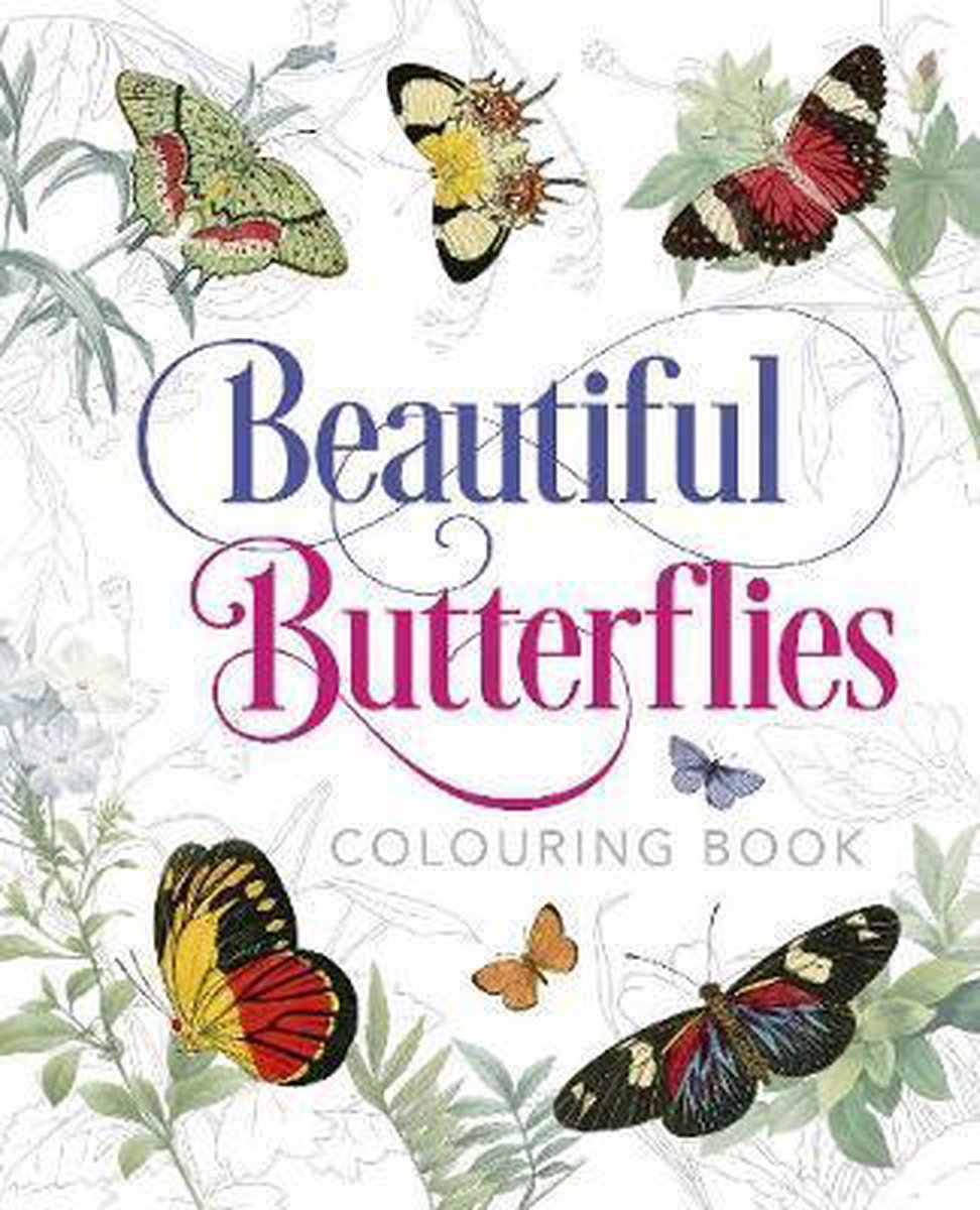 Beautiful Butterflies Colouring Book by Peter Gray