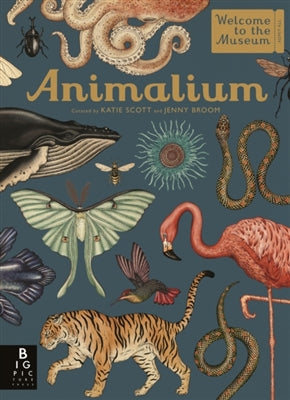 Animalium by Jenny Broom te koop op hetbookcafe.nl