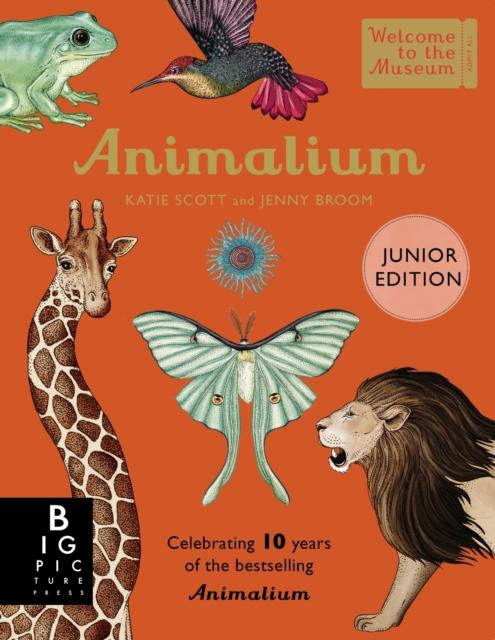 Welcome To The Museum- Animalium (Junior Edition) by Jenny Broom